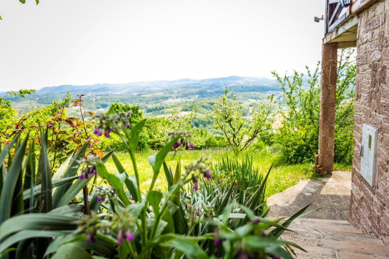 Kuca Za Odmor Zeleni Breg Vila Krapina Exterior foto